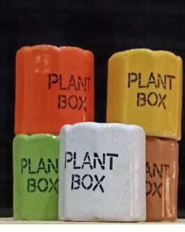 Plant Box Ceramic Pot