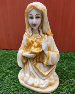 Mother Mary | Polyresin Matha Statue | christian Gift Statue | New year Gift