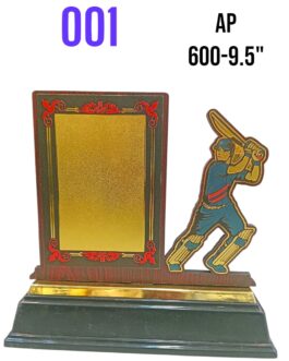 Personalised Cricket Player Wooden Trophy Plaque with Gold Plate